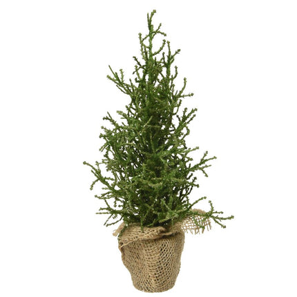Mini kerstboom silver glitter voor binnen - groen - 12x30cm
